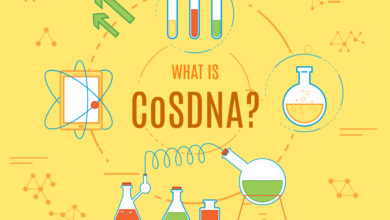 CosDNA – “đọc vị” mọi thành phần mỹ phẩm và những điều bạn cần biết