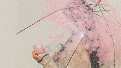 Review Innisfree jeju cherry blossom tone up cream – loại kem dưỡng nâng tone mới nhất đến từ nhà Innisfree