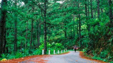 Đà Lạt ngày mưa, du lịch Đà Lạt