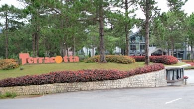 Review trải nghiệm Resort Terracotta Đà Lạt
