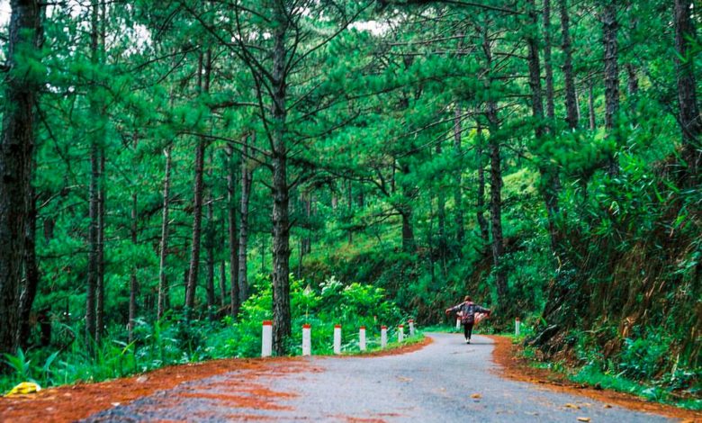 Đà Lạt ngày mưa, du lịch Đà Lạt