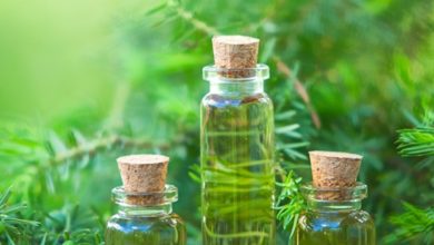 Tinh dầu tràm trà nguyên chất có nhiều công dụng với làn da và sức khỏe